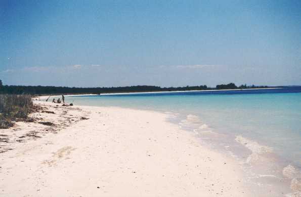 Cayo Jutias.JPG (14782 bytes)
