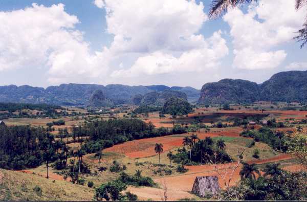 Valley of Vinales.JPG (32259 bytes)