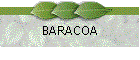 BARACOA