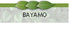BAYAMO