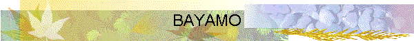 BAYAMO