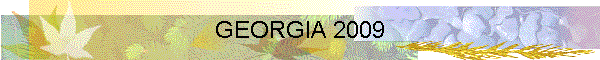 GEORGIA 2009