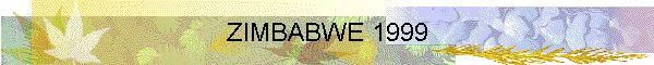 ZIMBABWE 1999